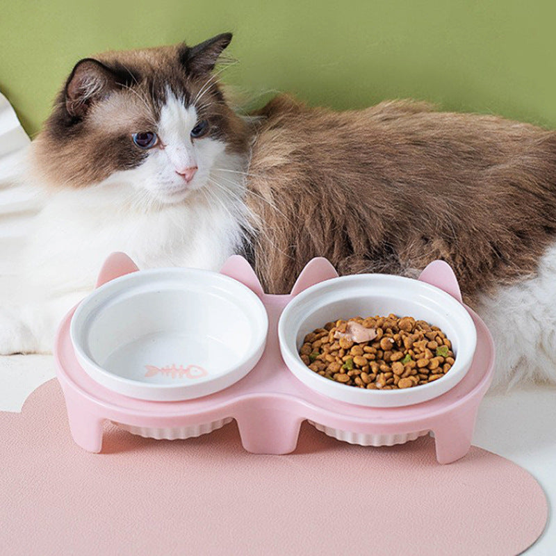 Elevate Your Pet's Dining Experience with Our Ceramic Double Bowl!