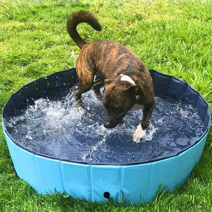 Unleash the Fun with Our Foldable Pet Bath Swimming Pool!