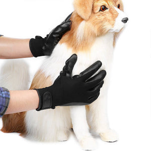 Unleash the Fun with the Pet Grooming Glove!
