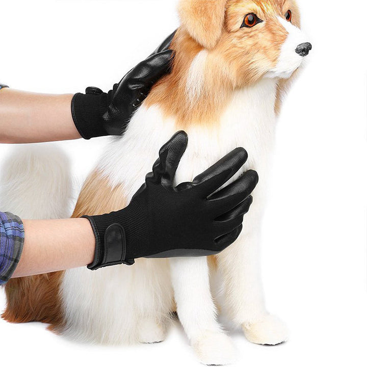 Unleash the Fun with the Pet Grooming Glove!