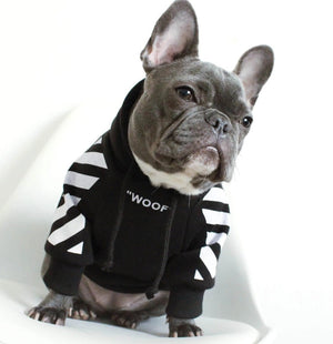 Elevate Your Pet's Style with the Pet Fashion Stripe Sweater