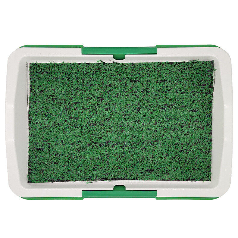Transform Your Puppy’s Potty Training Experience