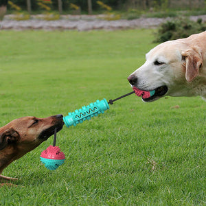 Unleash Joy and Health with Our Durable Chew Teeth Cleaning Stick Toy