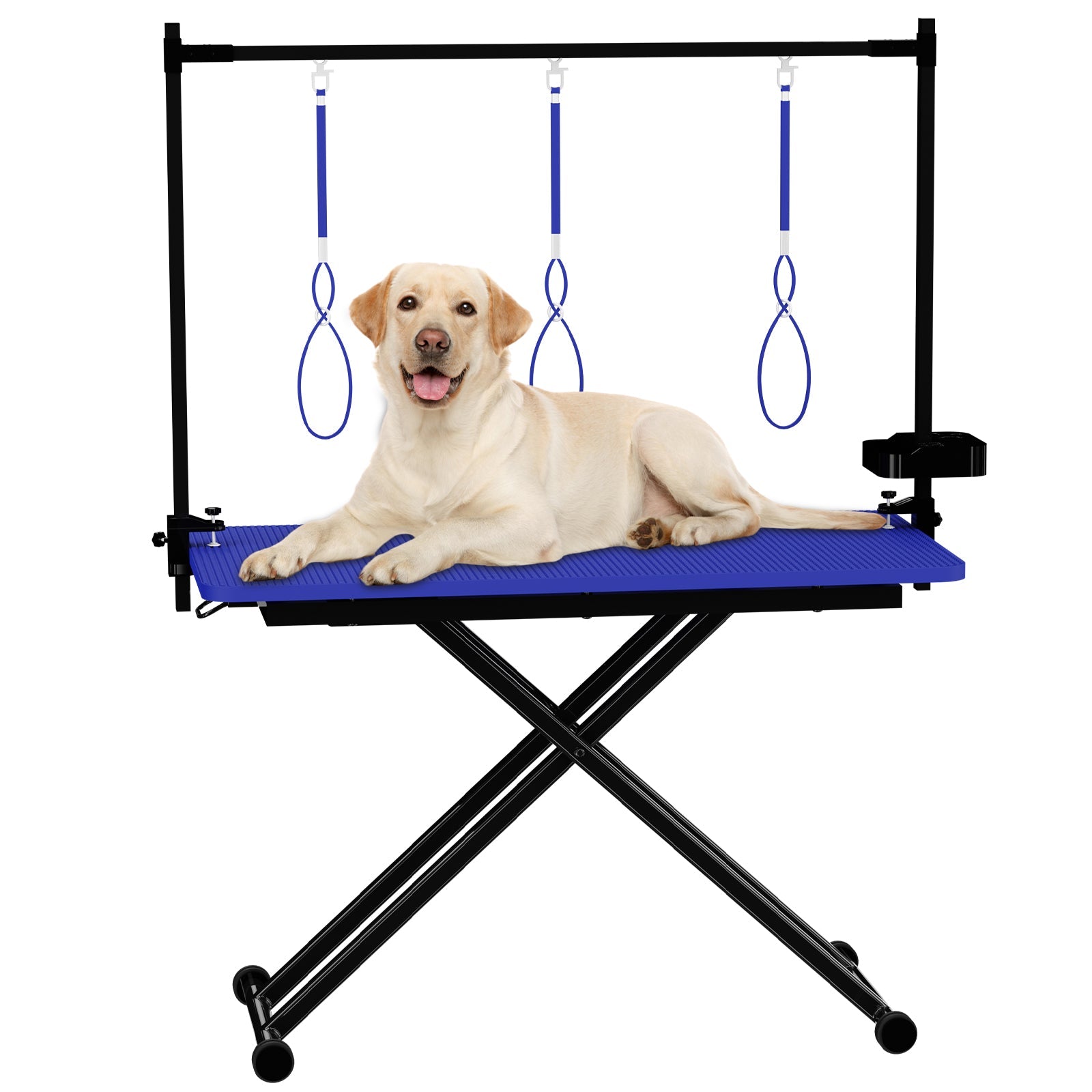 Transform Your Pet Grooming Experience with Our 47 Inch Blue Grooming Table