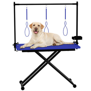 Transform Your Pet Grooming Experience with Our 47 Inch Blue Grooming Table