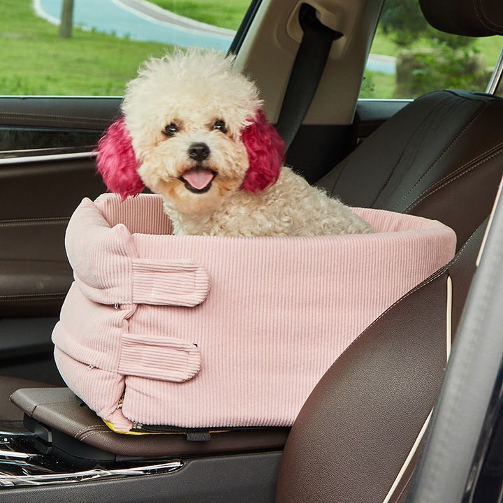 Why Your Pet Deserves a First-Class Car Ride