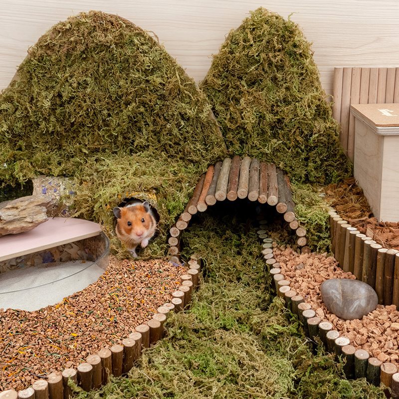 Oak Cork Bedding For Pet Cage Dust Free Landscaping Material