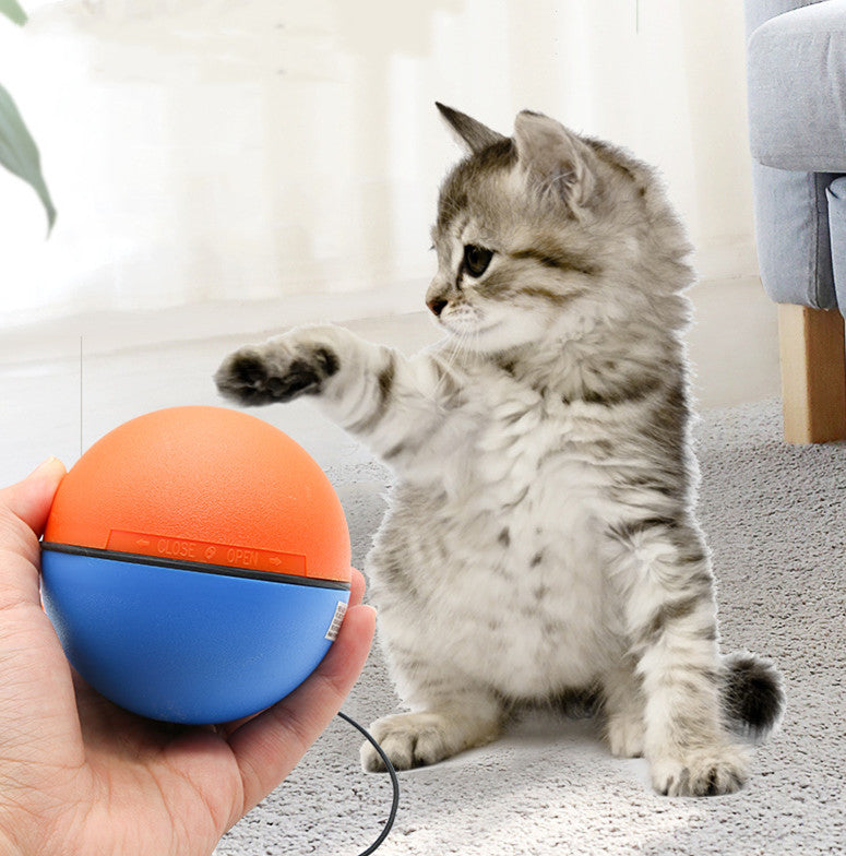 Automatic Intelligent Pet Tease Ball Teeth Grinding Interactive Toy