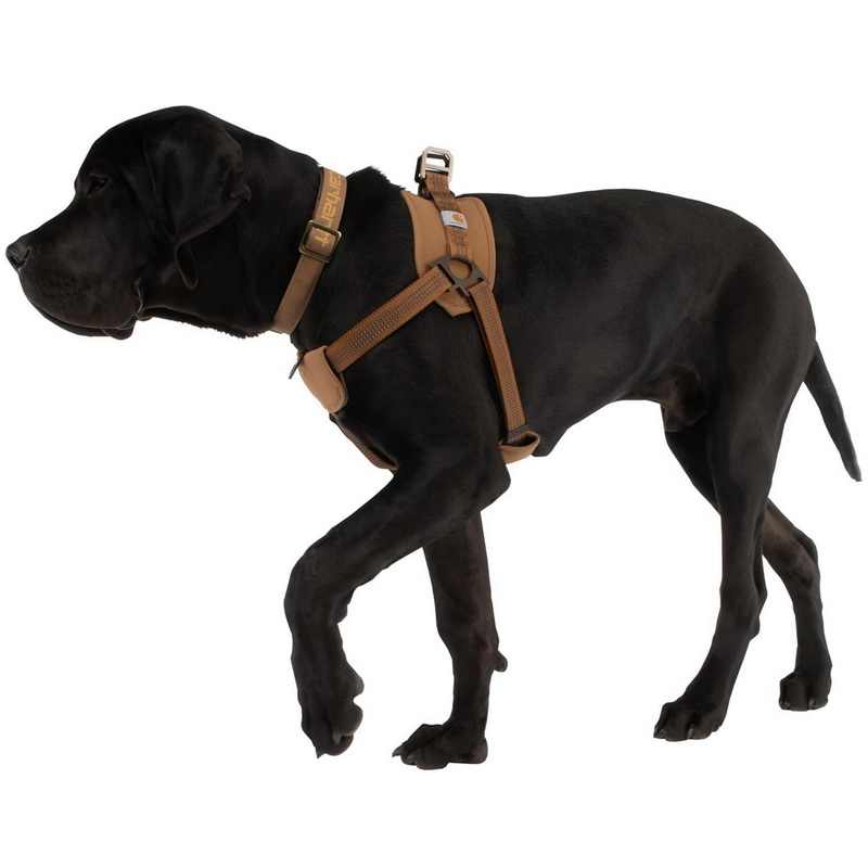Pet Chest Strap Training Belt With Handheld Safety Control Rope