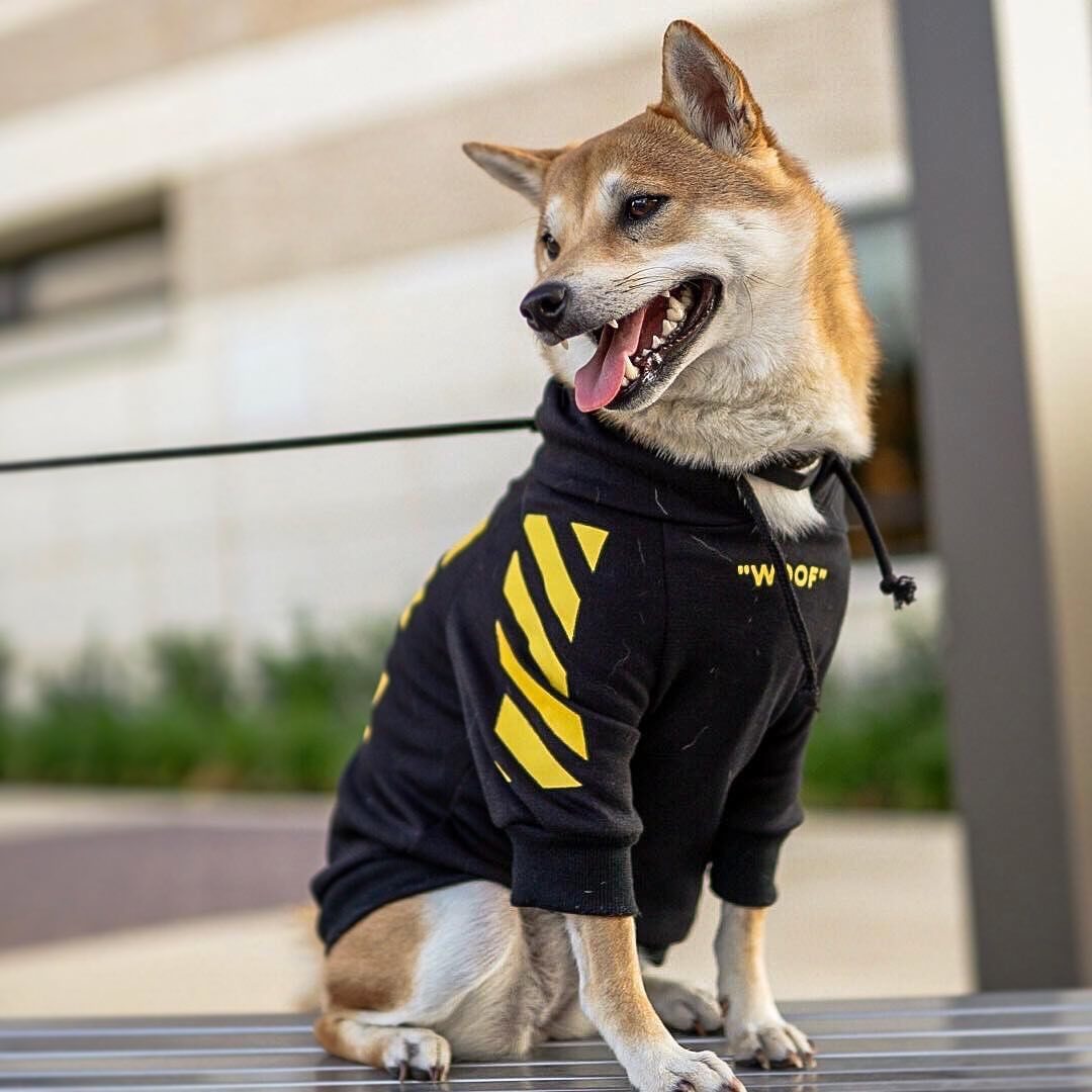 Pet Fashion Stripe Sweater Sports Clothes