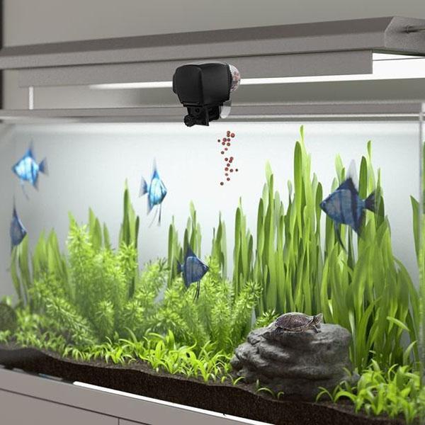 Digital Automatic Pet Fish Feeder For Aquarium System