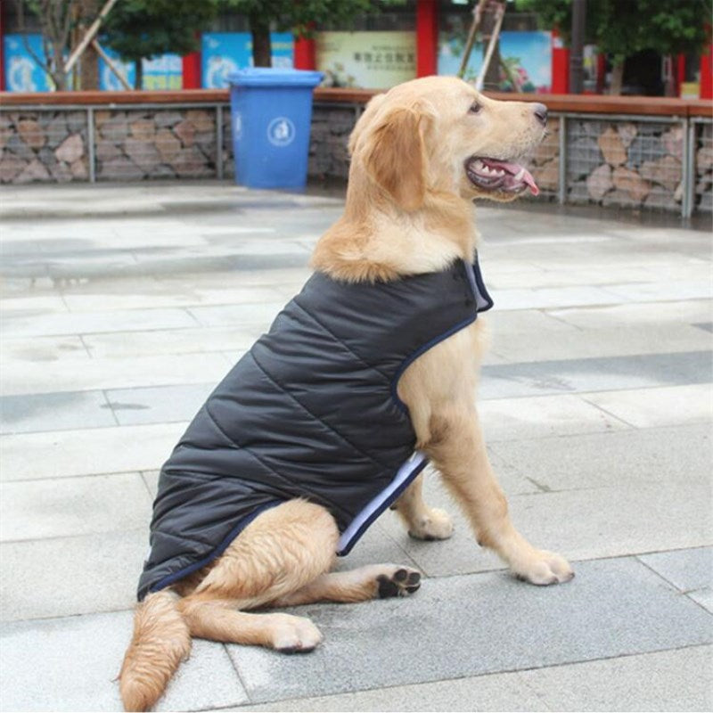 Pet Winter Cotton Coat Clothes