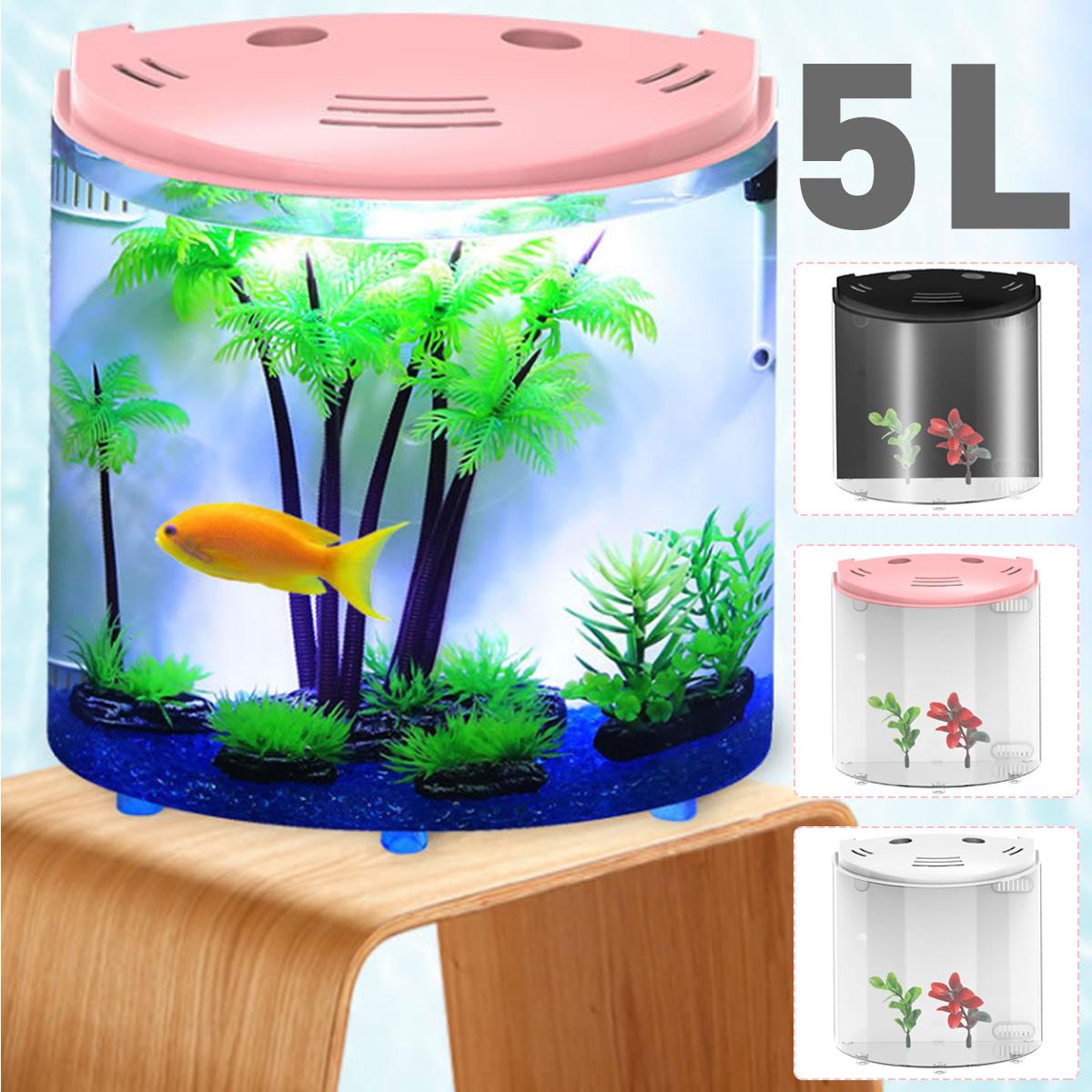 Ecological Acrylic Pet Tank Transparent Aquatic Habitat
