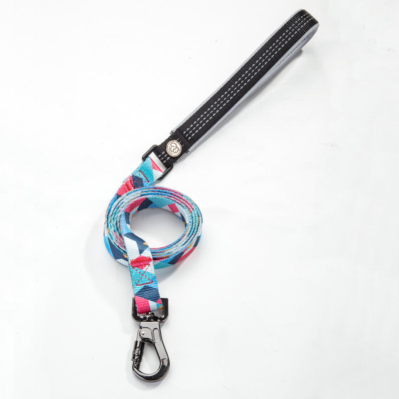 Pet Leash Supplies