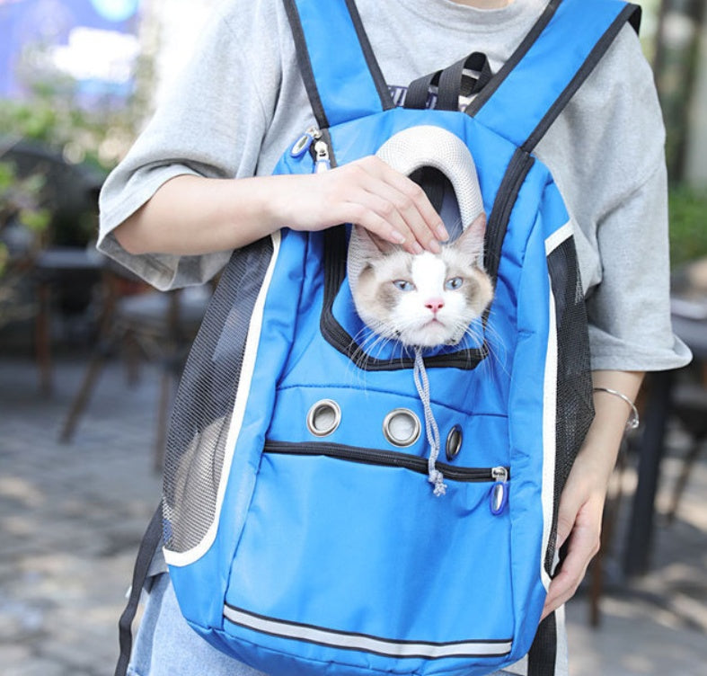 Pet Outing Backpack Bag