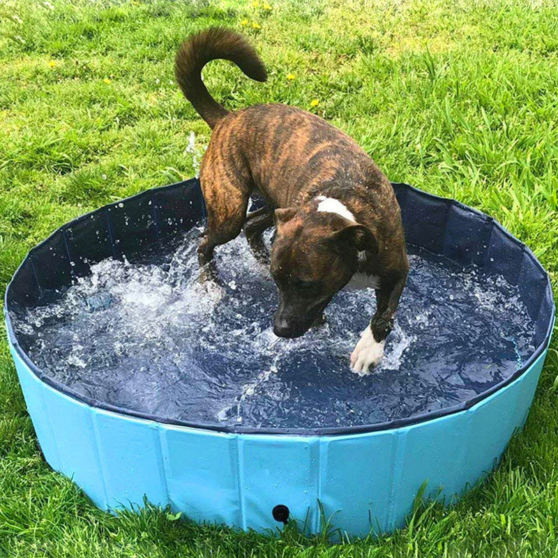 Foldable Pet Bath Swimming Pool For Indoor And Outdoor Use