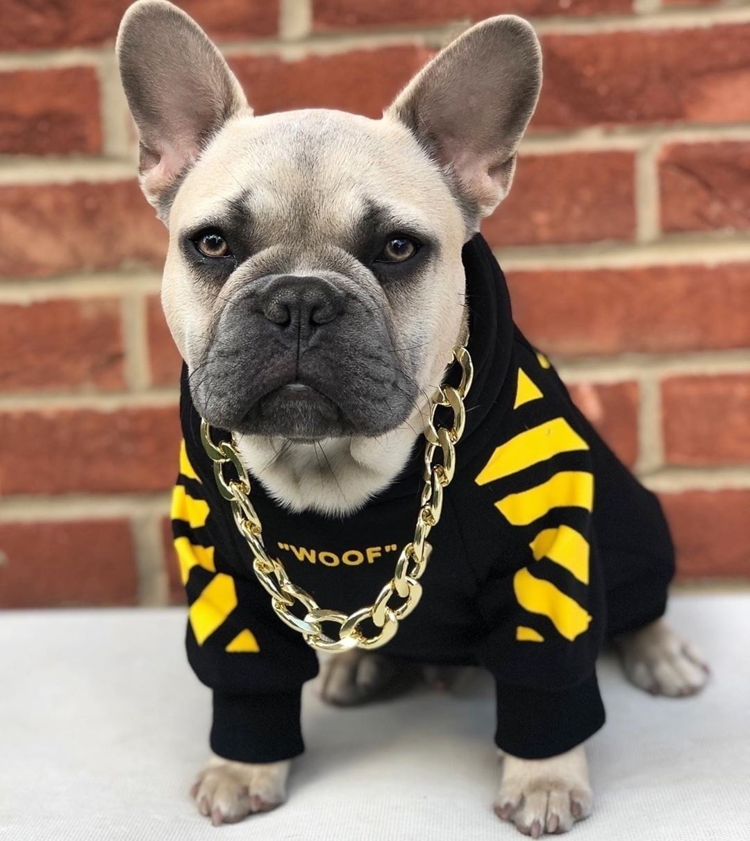 Pet Fashion Stripe Sweater Sports Clothes