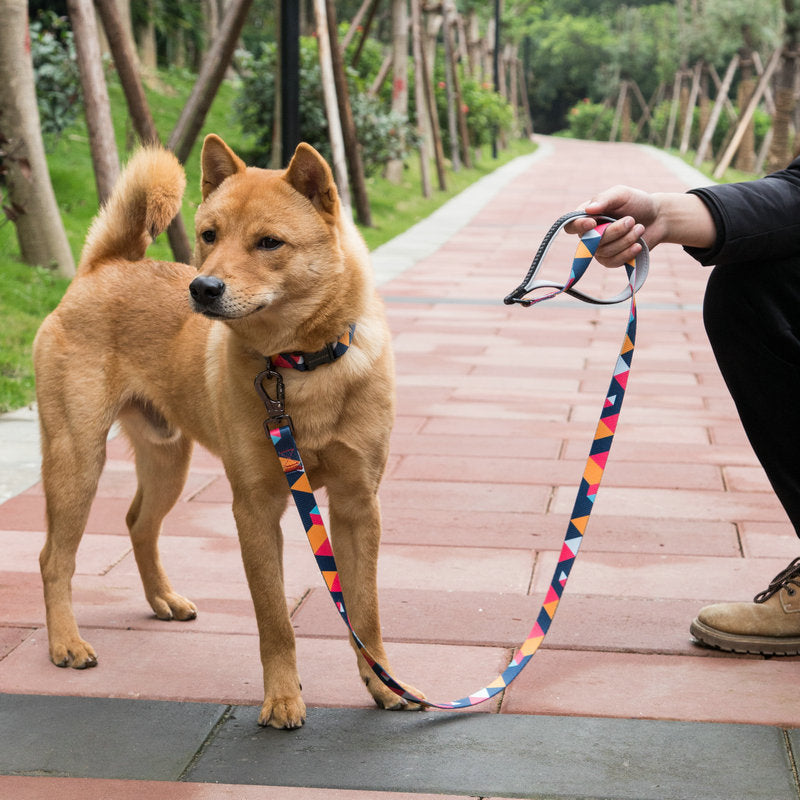 Pet Leash Supplies