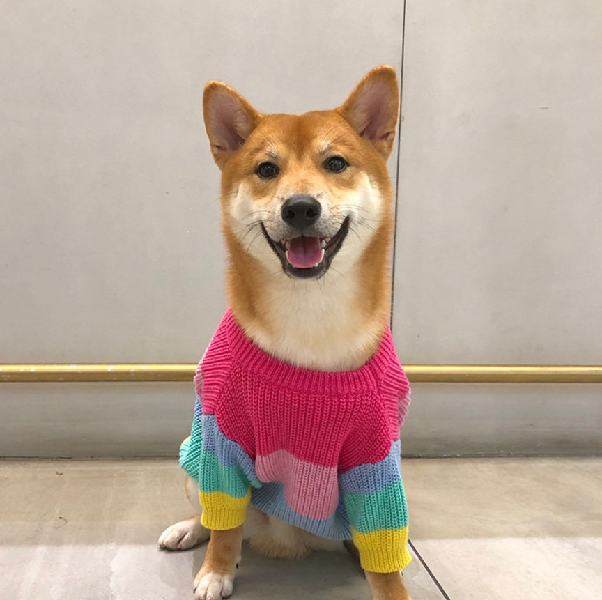 Pet Rainbow Sweater Clothes