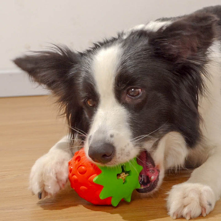 Pet Bite Resistant Teeth Cleaning Chew Ball Toy