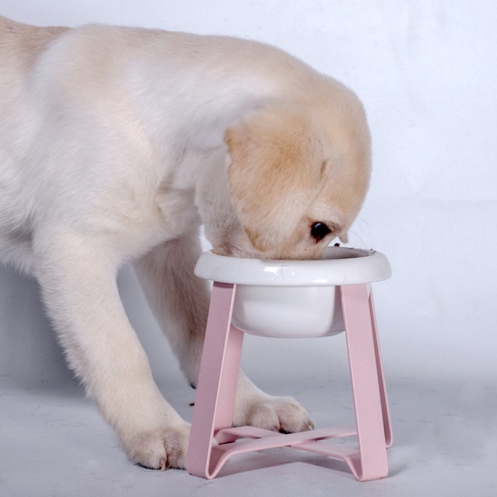 Pet Creative Anti Slip Iron Stand 2 In 1 Feeding Bowl