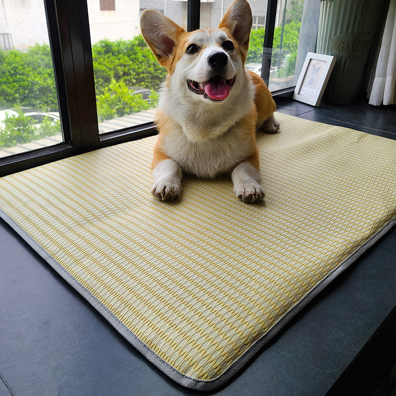 Pet Cooling Sleeping Mat Anti Bite Hair Resistant Summer Bed