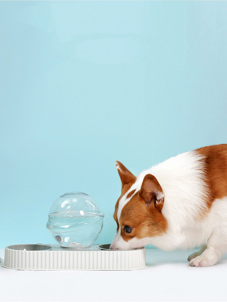 Plastic Pet Automatic Feeder Drinking Water Bowl
