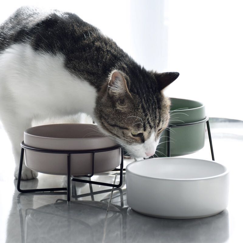 Metal Frame Ceramic Pet Bowl