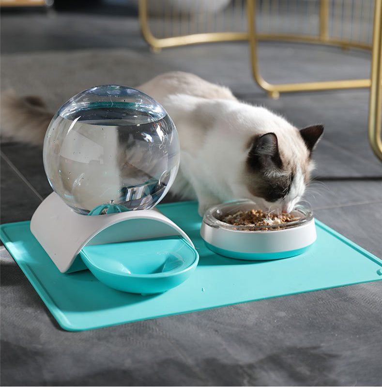 Pet Feeding Waterer Bowl