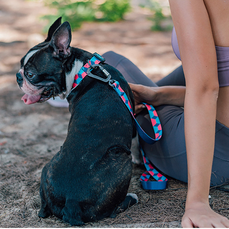 Pet Ribbon Printed Traction Rope For Comfortable Walking Control