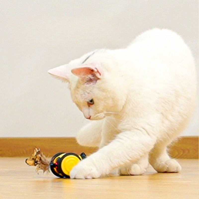 Electric Interactive Running Bee Pet Teaser Feather Toy