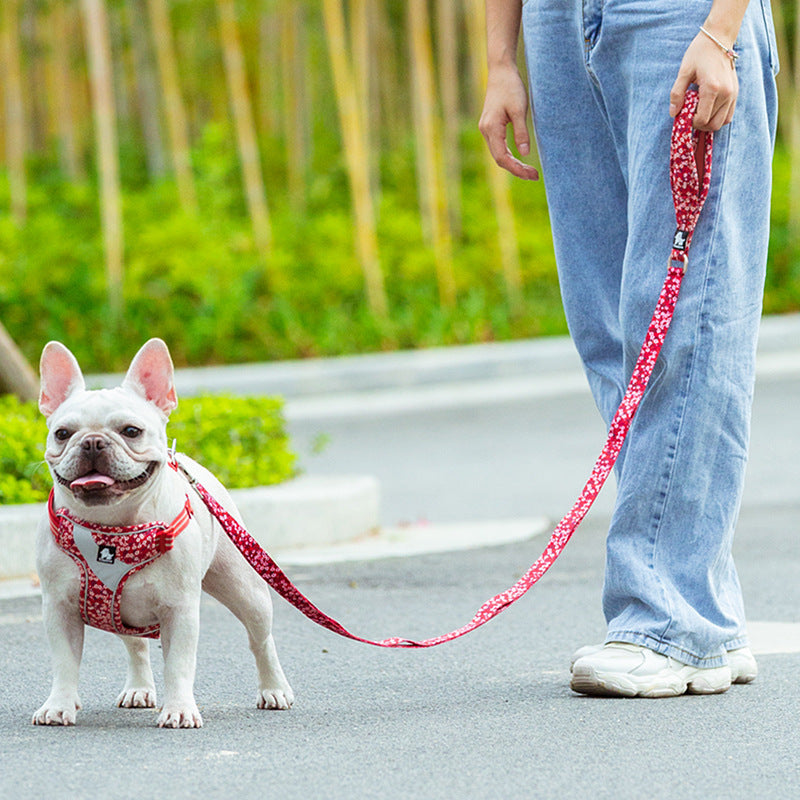 Pet Pull Rope Chain Leash