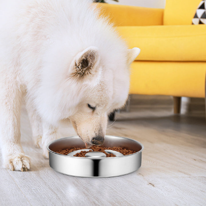 Stainless Steel Pet Slow Feeding Neck Protector Bowl