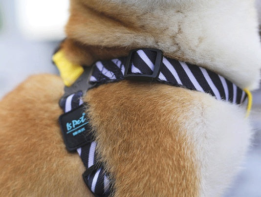 Pet Chest Strap Harness