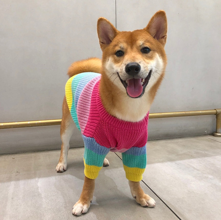 Pet Rainbow Sweater Clothes