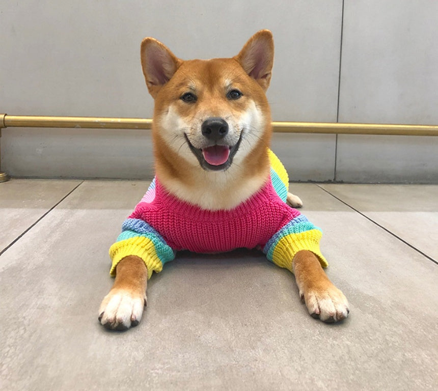 Pet Rainbow Sweater Clothes