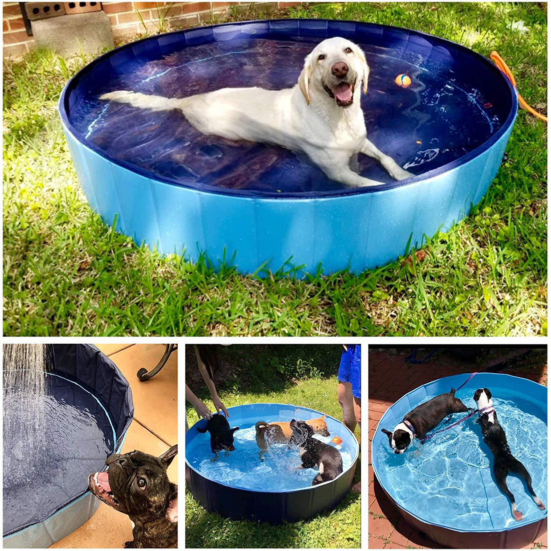 Foldable Pet Bath Swimming Pool For Indoor And Outdoor Use