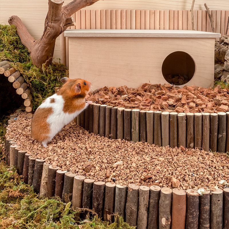 Oak Cork Bedding For Pet Cage Dust Free Landscaping Material