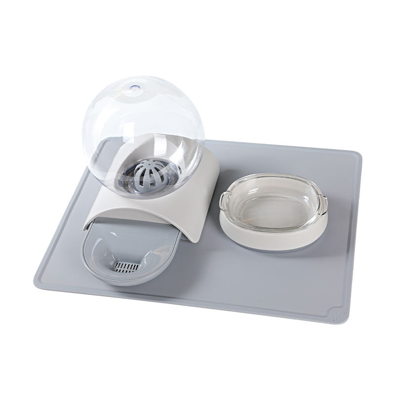 Pet Feeding Waterer Bowl