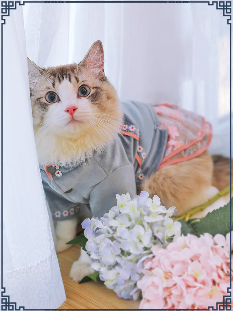 Pet Clothes