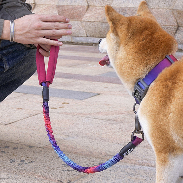 Pet Medium Walking Rope Leash