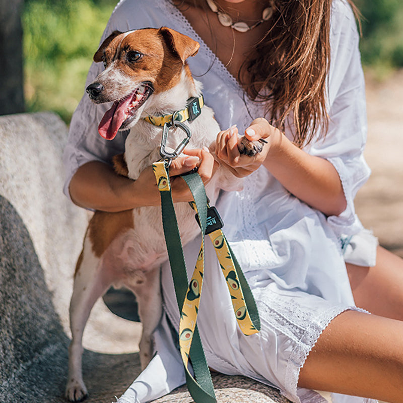 Pet Ribbon Printed Traction Rope For Comfortable Walking Control