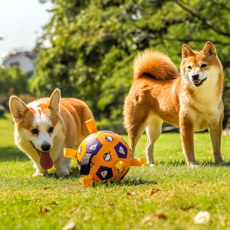 Pet Interactive Football Outdoor Molar Durable Long Lasting Toy