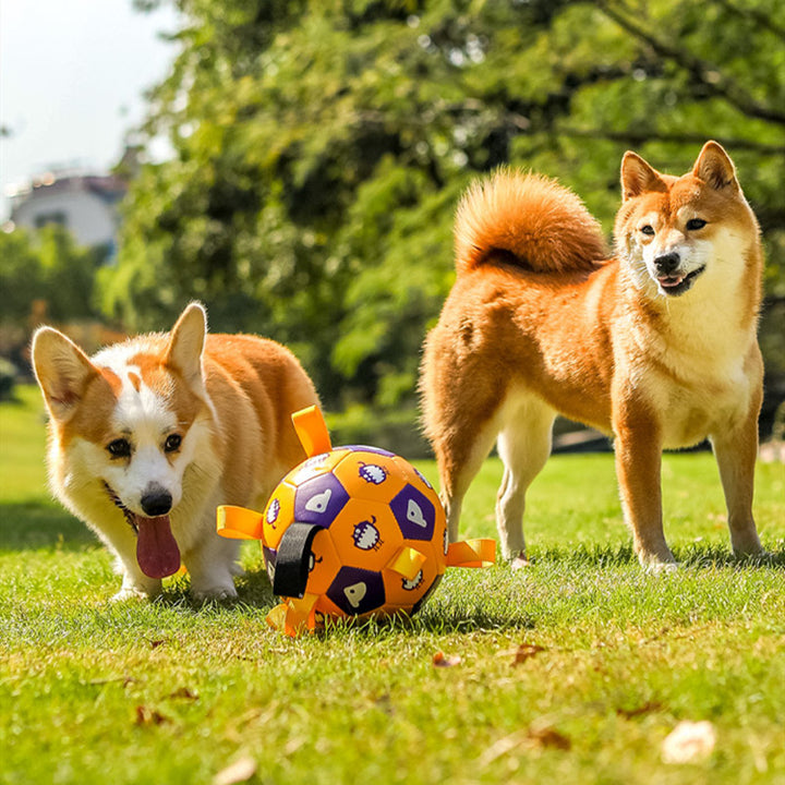 Pet Interactive Football Outdoor Molar Durable Long Lasting Toy
