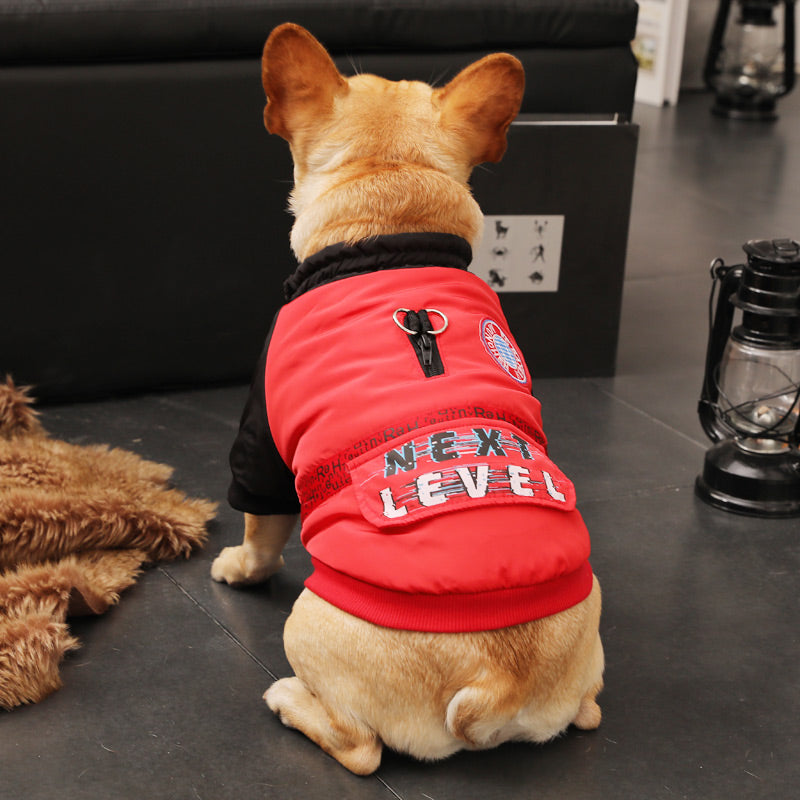 Autumn Winter Pet Clothing For Small Puppy Warmth And Comfort