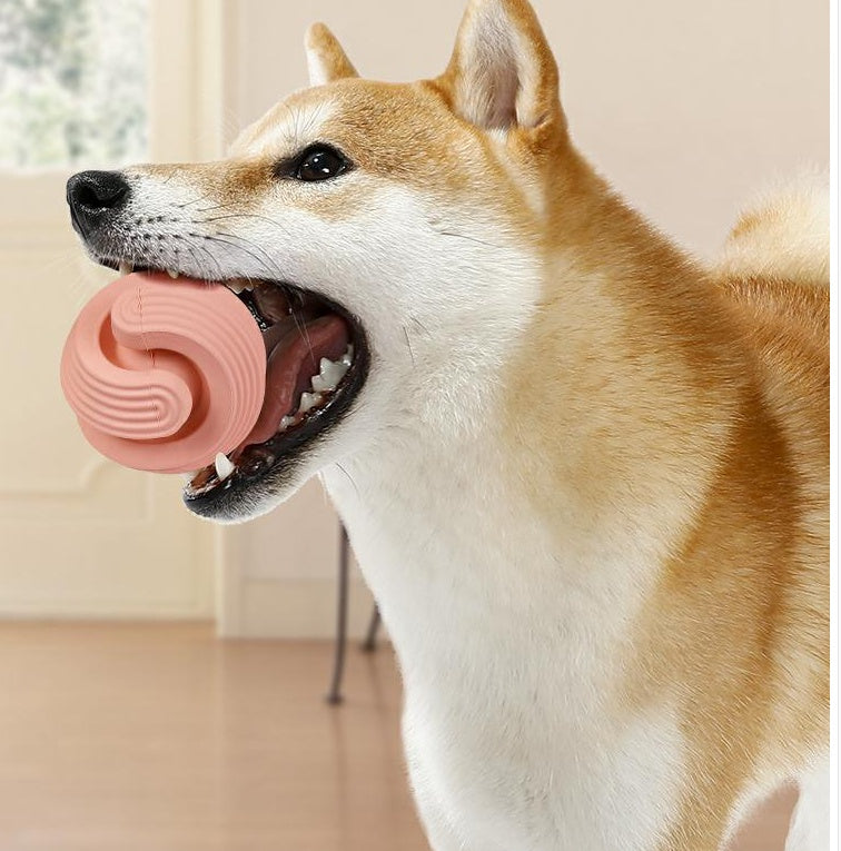 Rubber Pet Molar Teeth Relief Bouncy Ball Chew Toy