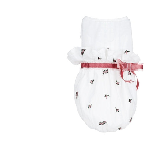Pet Clothes