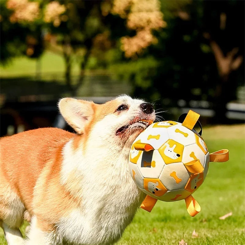 Pet Interactive Football Outdoor Training Bite Chew Teething Ball Toy
