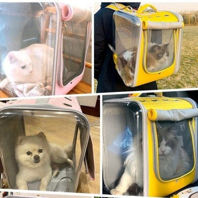 Pet Go Out Portable Backpack Bag