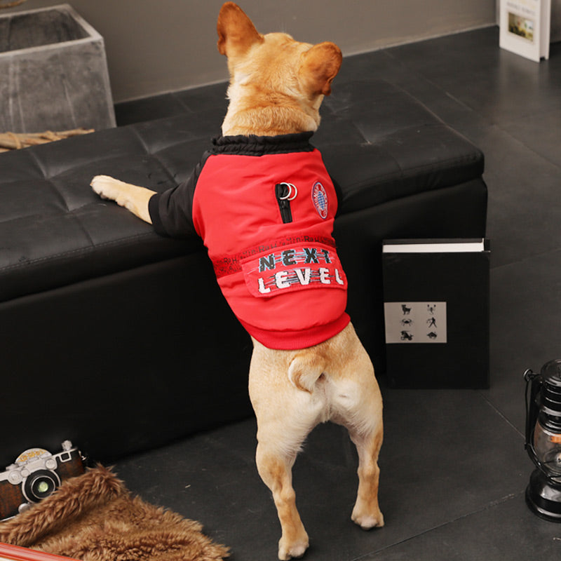 Autumn Winter Pet Clothing For Small Puppy Warmth And Comfort
